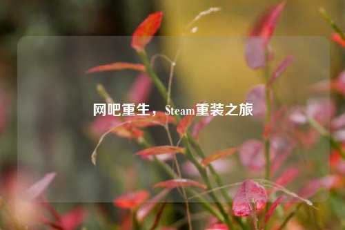 网吧重生,Steam重装之旅