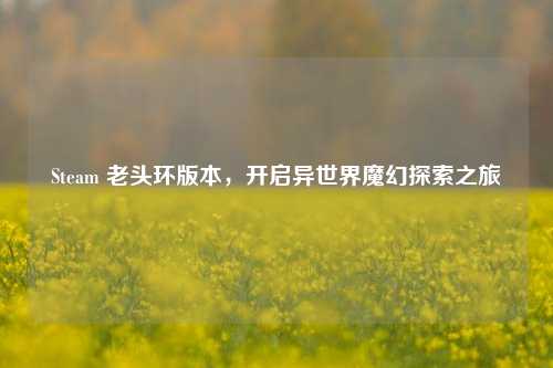 Steam 老头环版本,开启异世界魔幻探索之旅