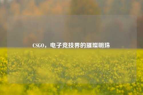 CSGO,电子竞技界的璀璨明珠