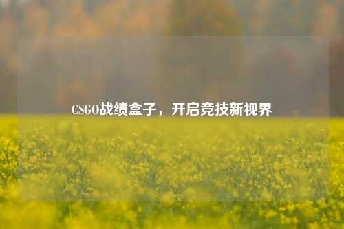 CSGO战绩盒子,开启竞技新视界