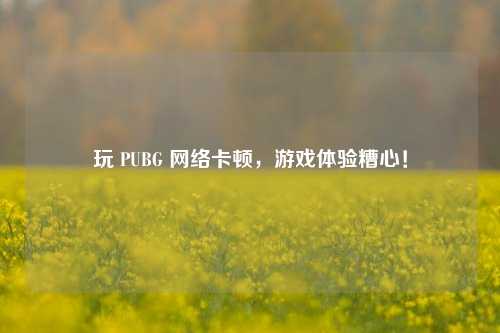 玩 PUBG 卡顿,游戏体验糟心!