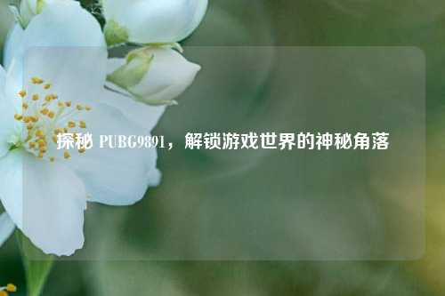 探秘 PUBG9891,解锁游戏世界的神秘角落
