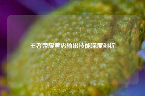 王者荣耀黄忠输出技能深度剖析
