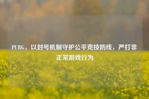 PUBG,以封号机制守护公平竞技防线,严打非正常游戏行为