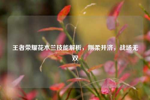 王者荣耀花木兰技能解析,刚柔并济,战场无双