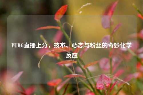 PUBG直播上分,技术、心态与粉丝的奇妙化学反应