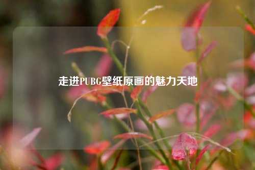 走进PUBG壁纸原画的魅力天地