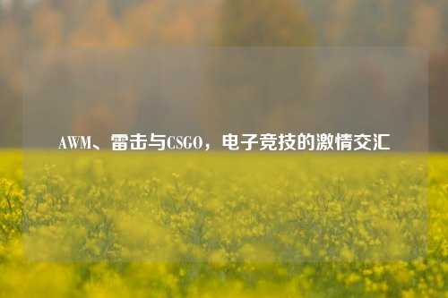 AWM、雷击与CSGO,电子竞技的***交汇