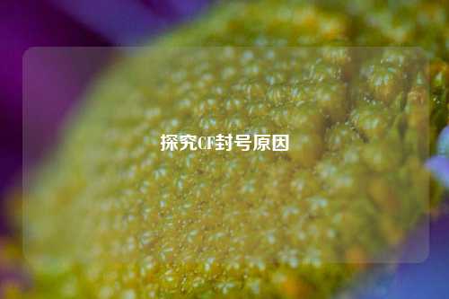 探究CF封号原因