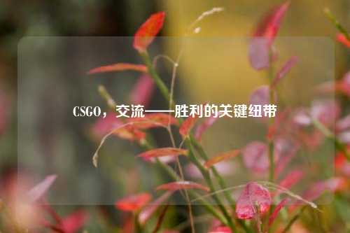 CSGO,交流——胜利的关键纽带