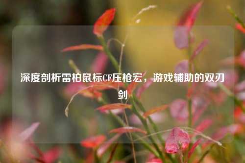 深度剖析雷柏鼠标CF压枪宏,游戏辅助的双刃剑