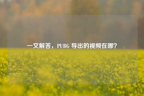 一文解答,PUBG 导出的视频在哪?