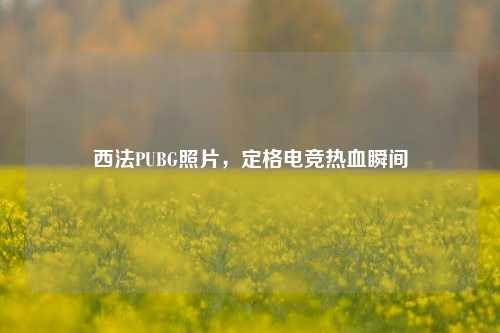 西法PUBG照片,定格电竞热血瞬间