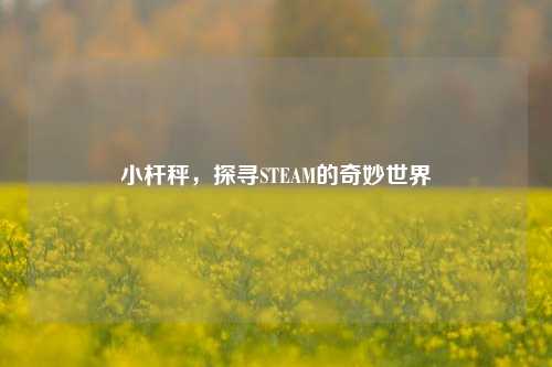 小杆秤,探寻STEAM的奇妙世界