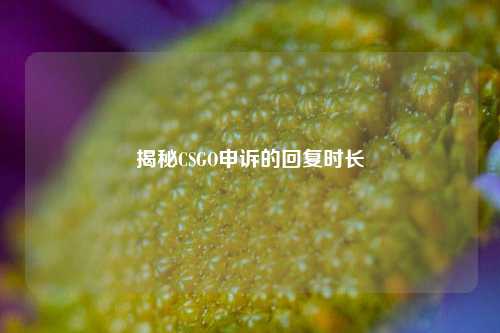 揭秘CSGO申诉的回复时长