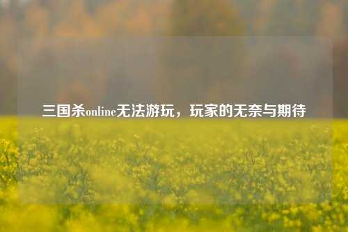 三国杀online无法游玩,玩家的无奈与期待