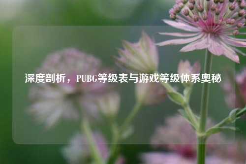 深度剖析,PUBG等级表与游戏等级体系奥秘