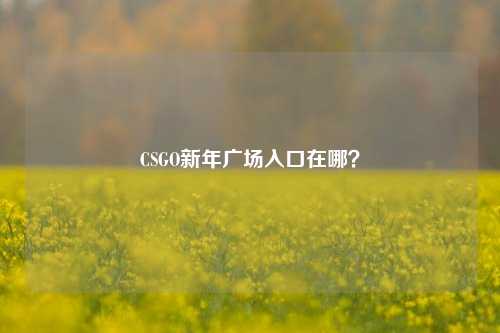 CSGO新年广场入口在哪?
