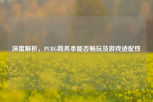 深度解析,PUBG商务本能否畅玩及游戏适配性