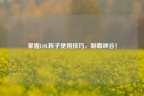 掌握LOL耗子使用技巧,制霸峡谷!