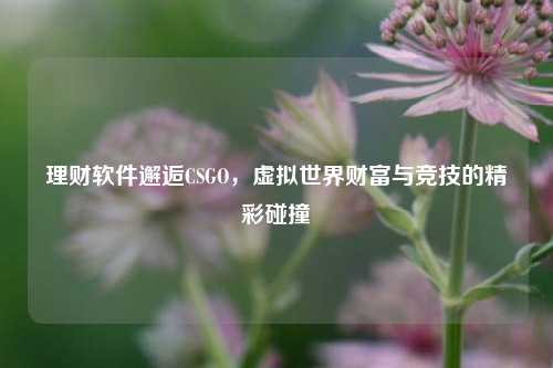 理财软件邂逅CSGO,虚拟世界财富与竞技的精彩碰撞