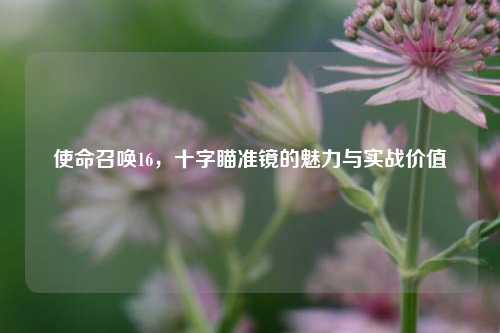 使命召唤16,十字瞄准镜的魅力与实战价值