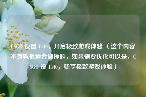 CSGO 设置 1440,开启极致游戏体验 (这个内容本身就很适合做标题,如果需要优化可以是,CSGO 设 1440,畅享极致游戏体验)