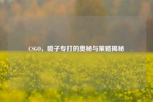 CSGO,喷子专打的奥秘与策略揭秘