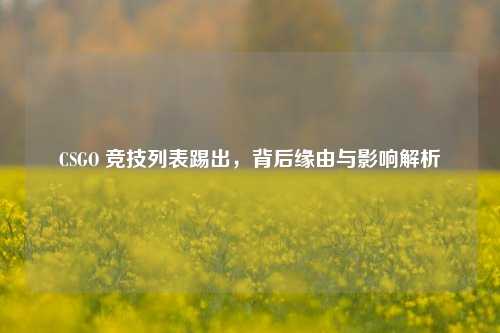 CSGO 竞技列表踢出,背后缘由与影响解析