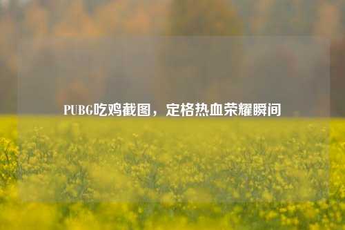 PUBG吃鸡截图,定格热血荣耀瞬间