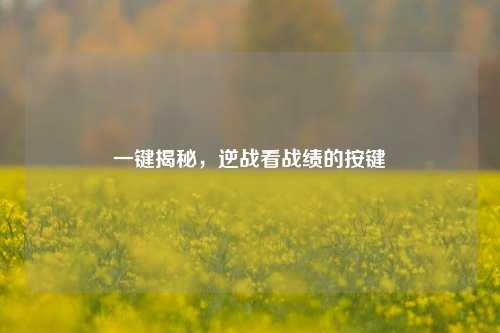 一键揭秘,逆战看战绩的按键