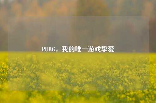 PUBG,我的唯一游戏挚爱