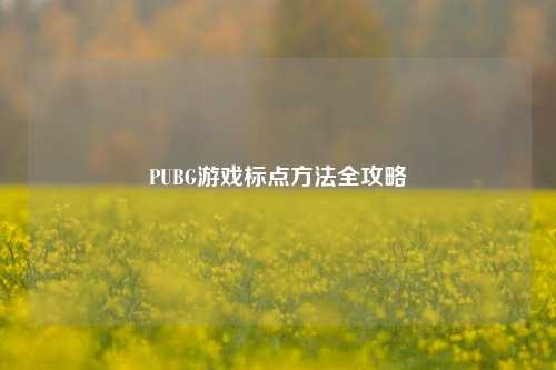 PUBG游戏标点 全攻略