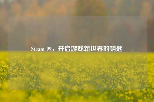 Steam 99,开启游戏新世界的钥匙