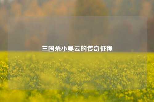 三国杀小吴云的传奇征程