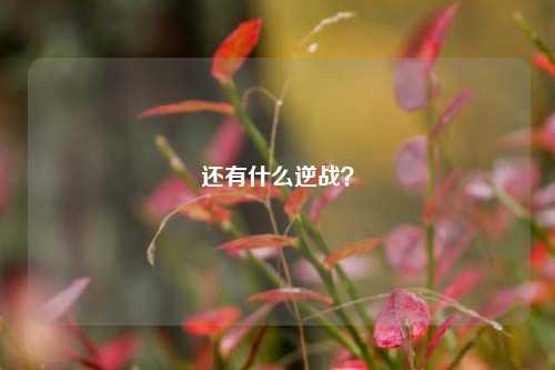 还有什么逆战?
