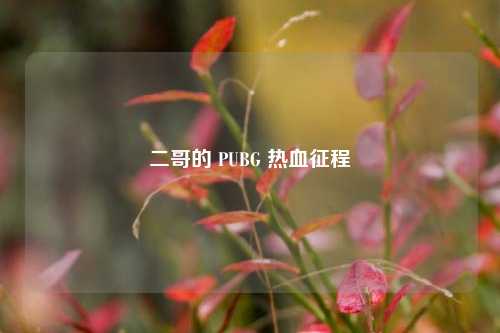 二哥的 PUBG 热血征程