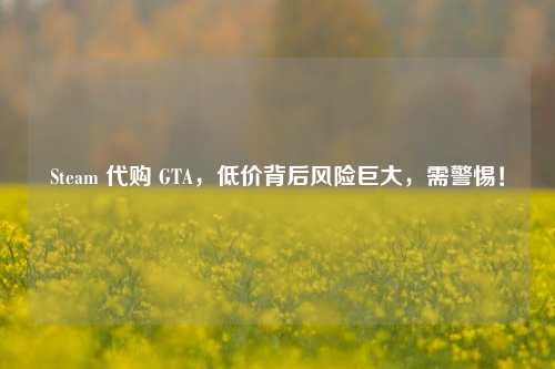 Steam GTA,低价背后风险巨大,需警惕!