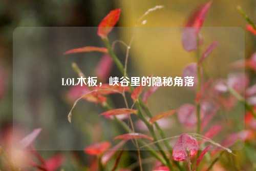 LOL木板,峡谷里的隐秘角落