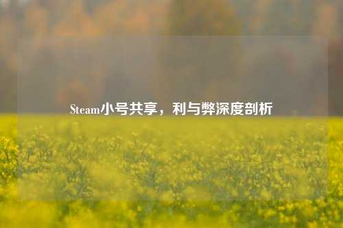 Steam小号共享,利与弊深度剖析