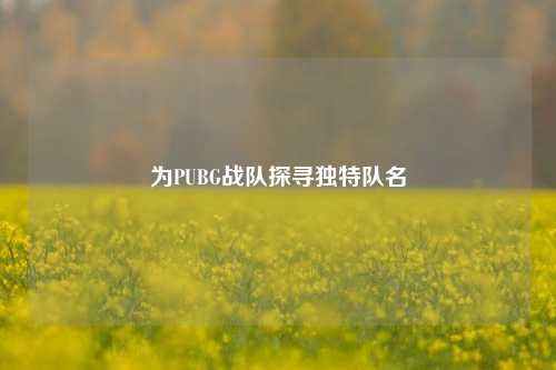 为PUBG战队探寻独特队名