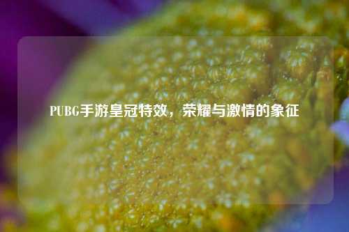 PUBG手游皇冠特效,荣耀与***的象征
