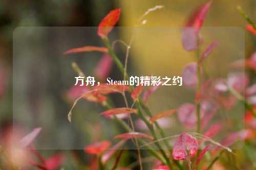 方舟,Steam的精彩之约