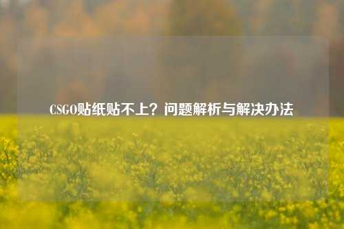CSGO贴纸贴不上?问题解析与解决办法