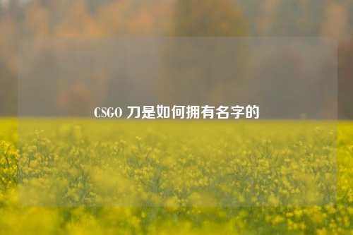 CSGO 刀是如何拥有名字的