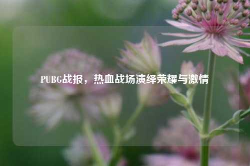 PUBG战报,热血战场演绎荣耀与***