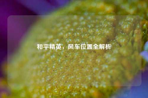 和平精英,风车位置全解析