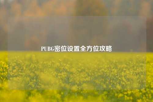 PUBG密位设置全方位攻略