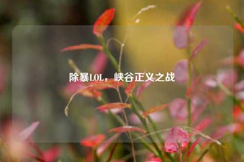 除暴LOL,峡谷正义之战