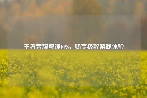 王者荣耀解锁FPS,畅享极致游戏体验